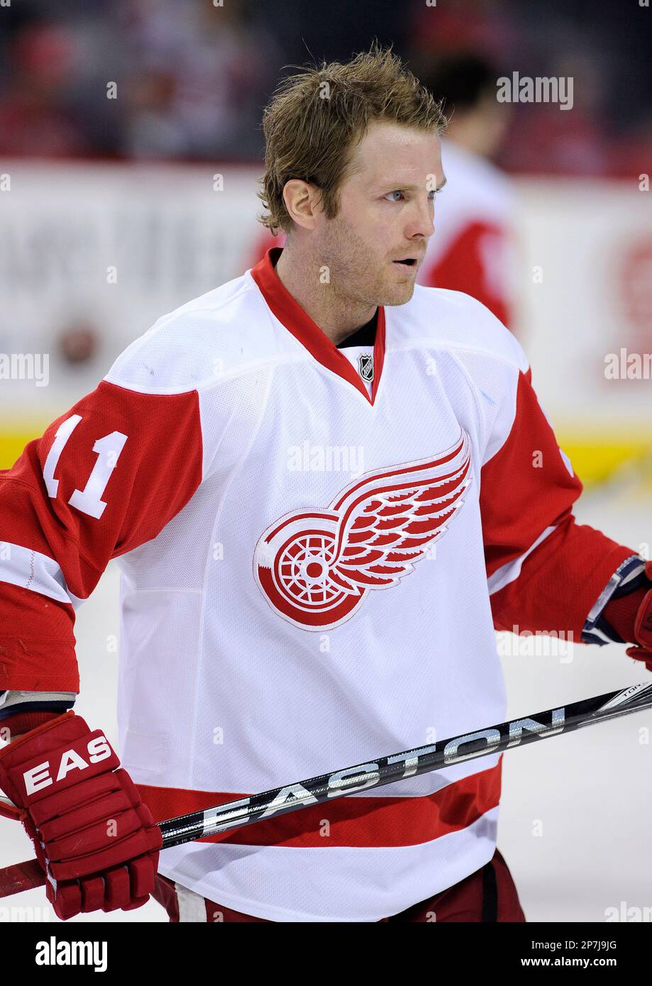 NHL Player Cards: Detroit Red Wings - The Athletic