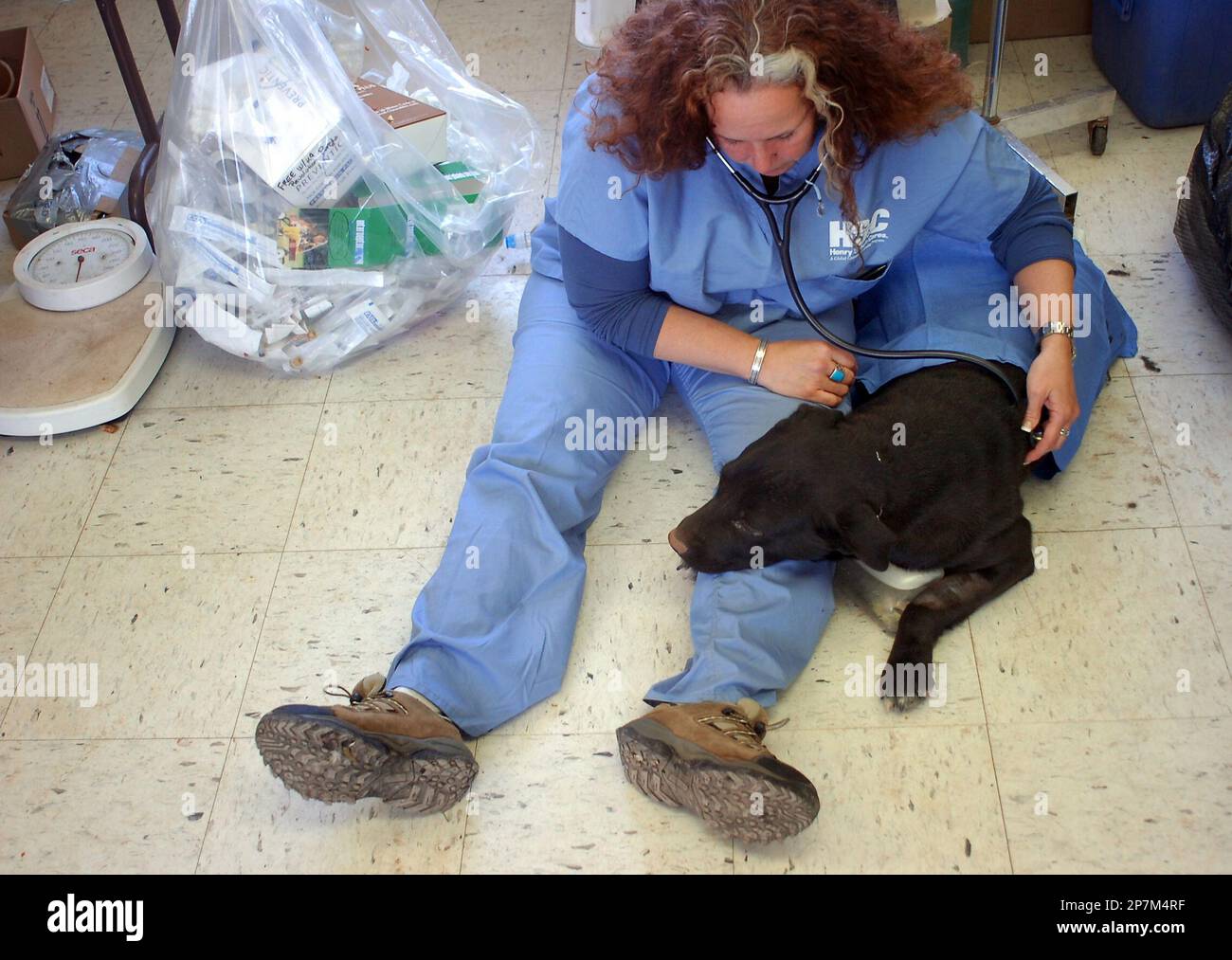 Pam Spatz, a vet technician from Queens in New York City, checks the