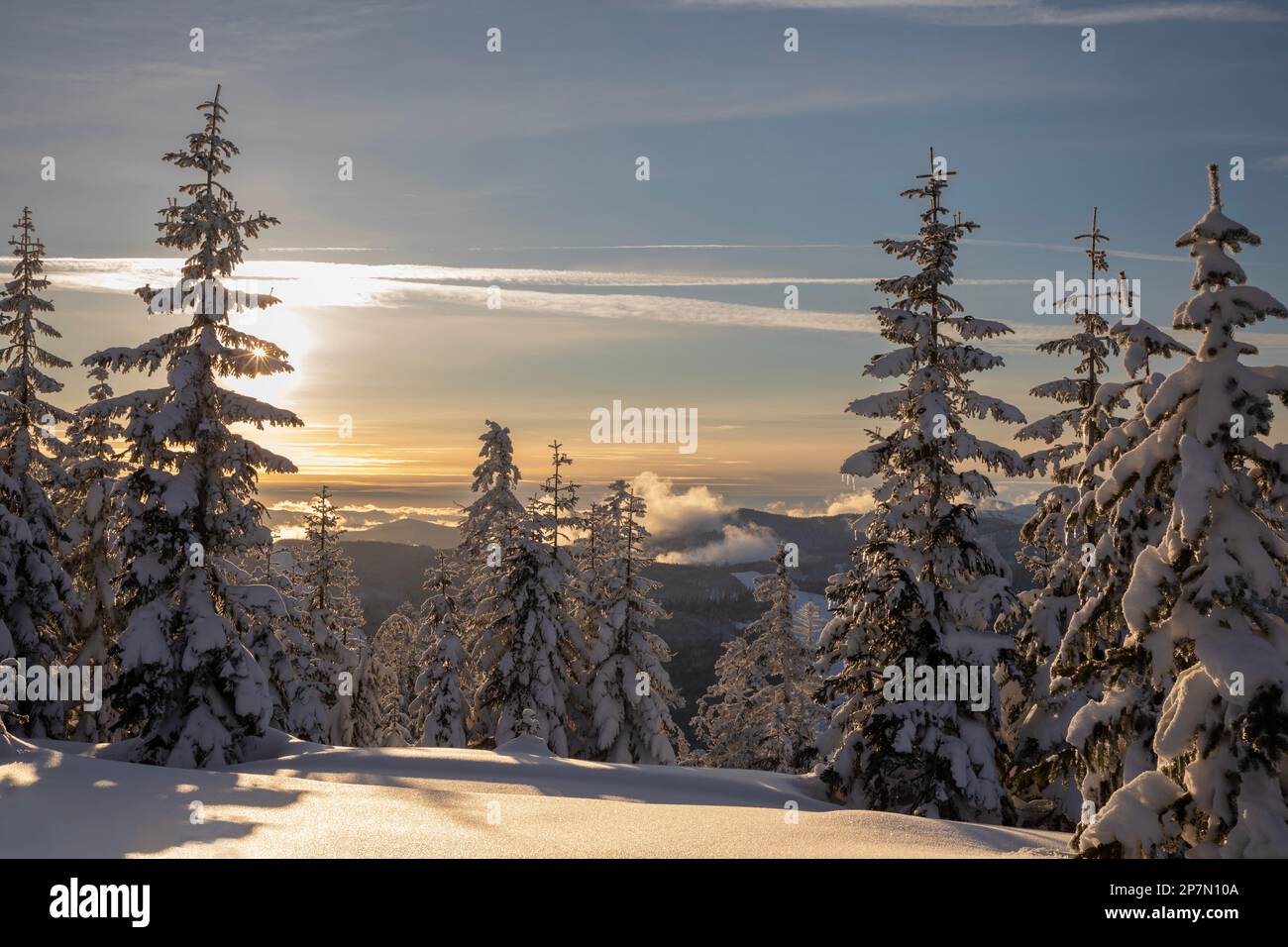 WA23215-00...WASHINGTON - Late winter afternoon in the Okanogan-Wenatchee National Forest. Stock Photo