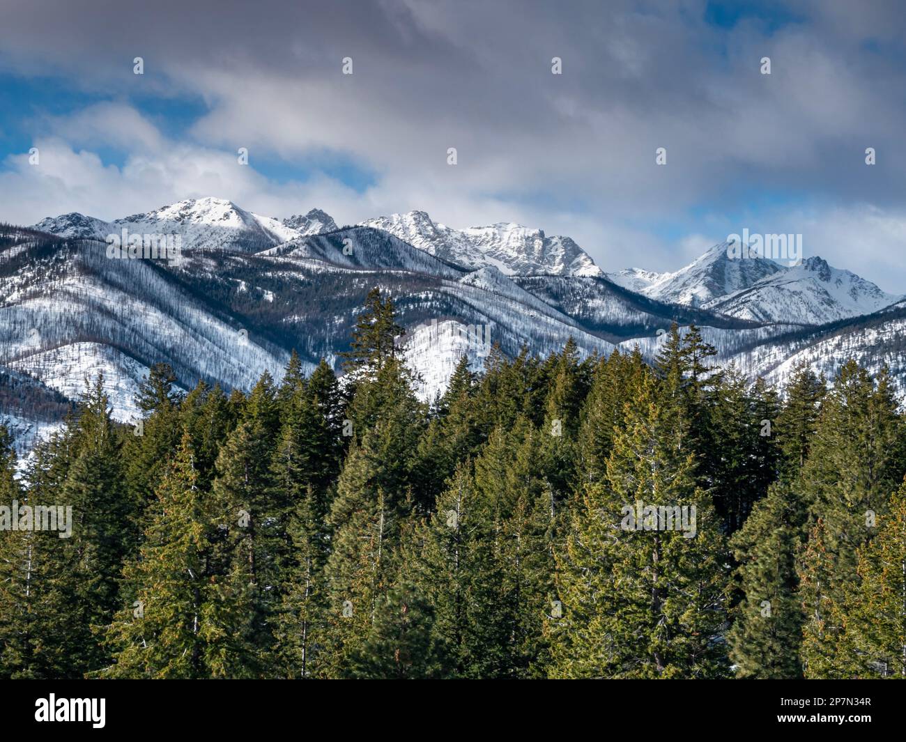 WA23230-00...WASHINGTON - View of the North Cascades from the Lower Fawn Creek cross-country ski trail, in the Rendezvous Trail system in the Methow V Stock Photo