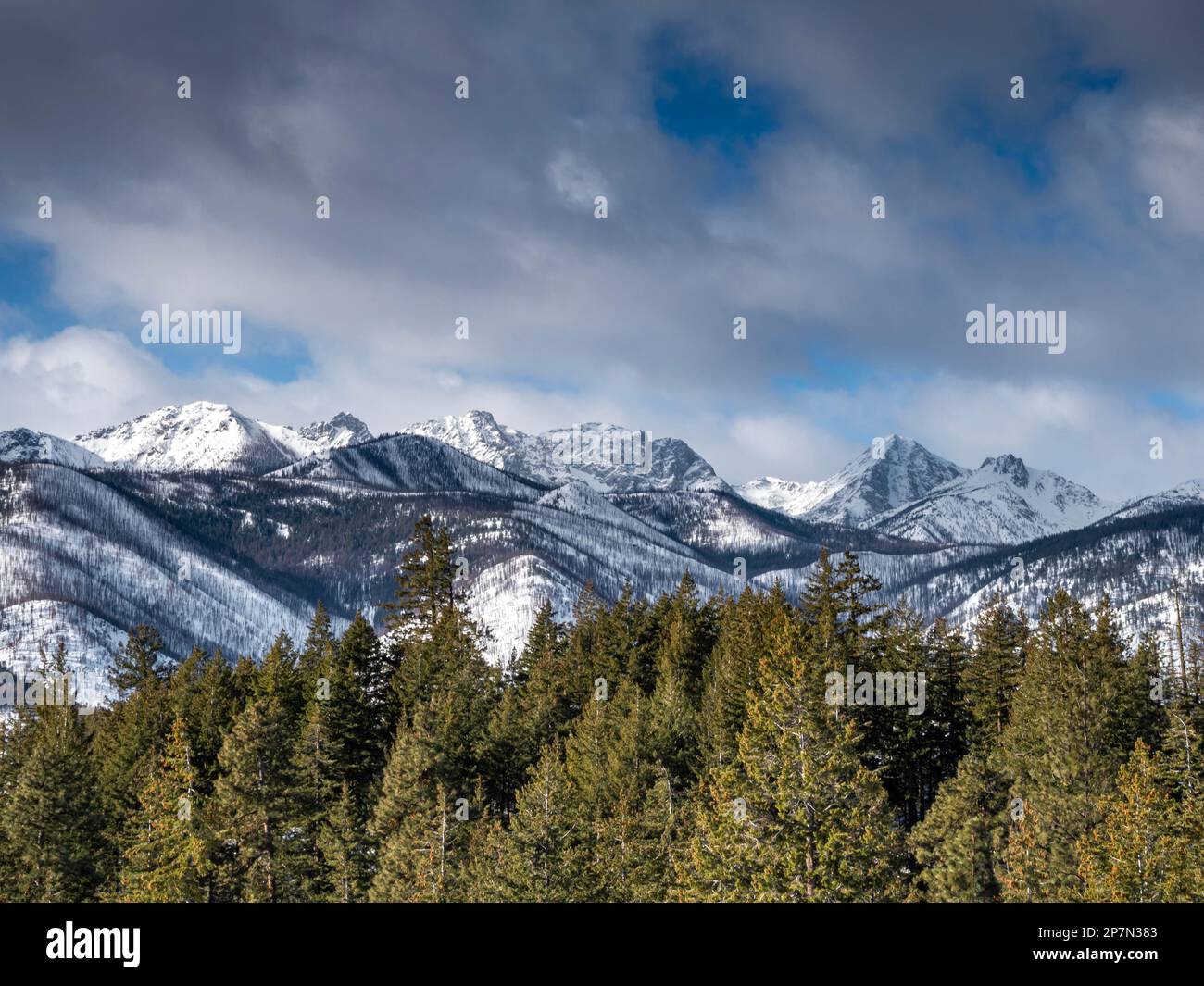WA23231-00...WASHINGTON - View of the North Cascades from the Lower Fawn Creek cross-country ski trail, in the Rendezvous Trail system in the Methow V Stock Photo