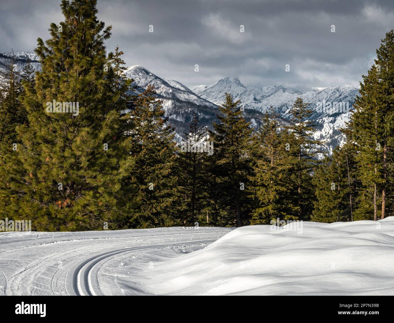 WA23232-00...WASHINGTON - View of the North Cascades from the Lower Fawn Creek cross-country ski trail, Rendezvous Trail system in the Methow Valley. Stock Photo