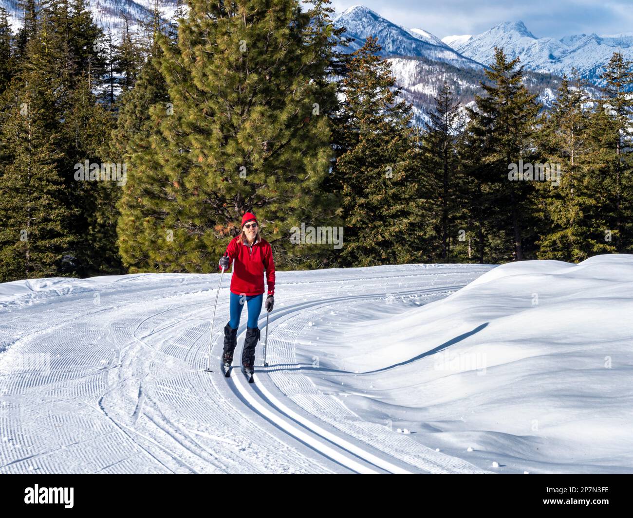 WA23232-00...WASHINGTON - Skier ascending Lower Fawn Creek cross-country ski trail in the Rendezvous Trail system of the Methow Valley. Stock Photo