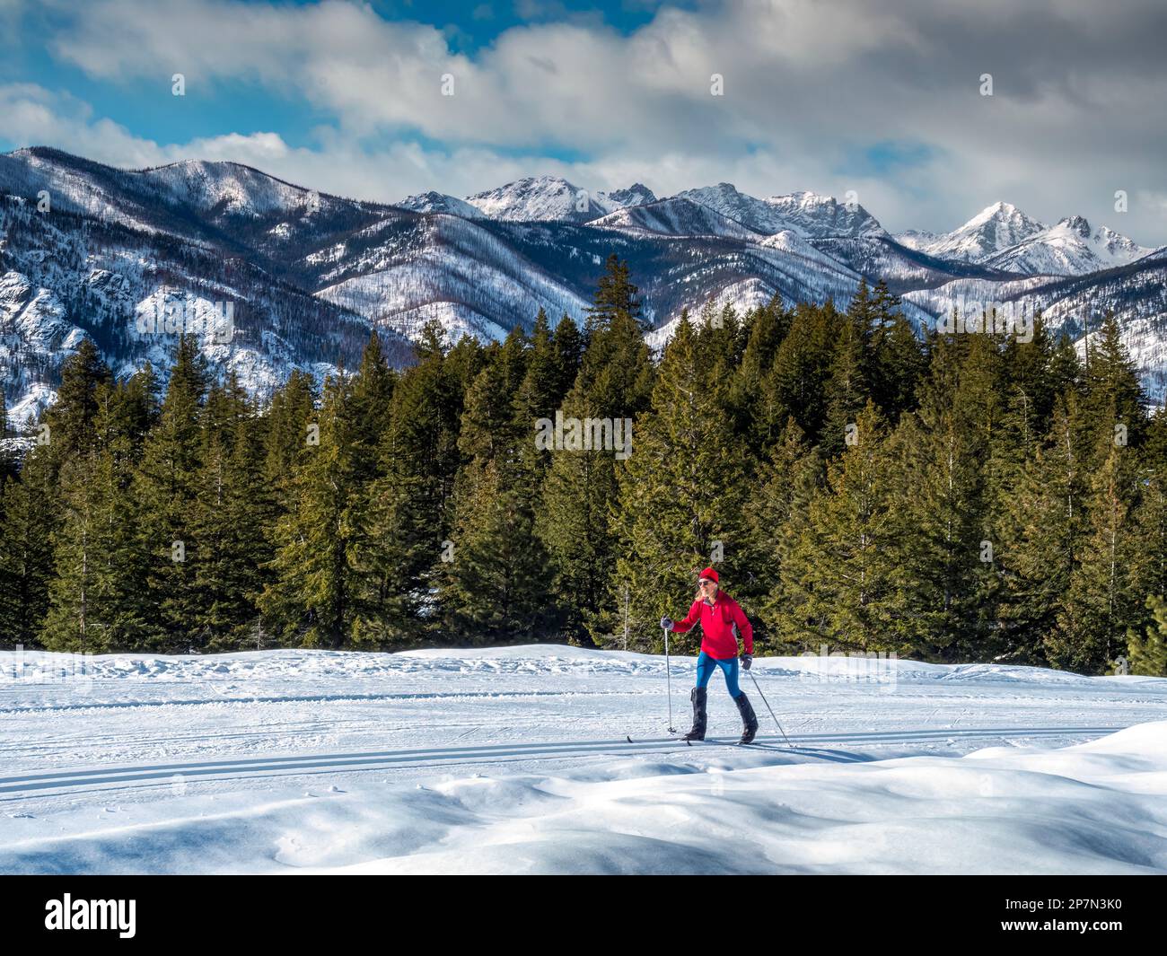 WA23234-00...WASHINGTON - Skier ascending the Lower Fawn Creek cross-country ski trail in the Rendezvous Trail system of the Methow Valley with the mo Stock Photo