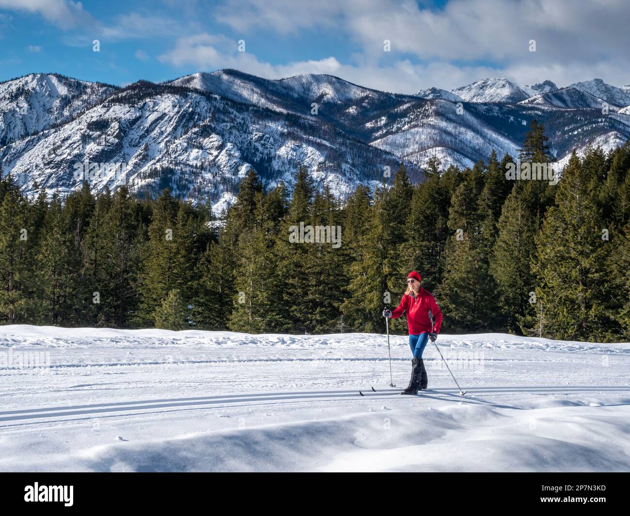 WA23235-00...WASHINGTON - Skier ascending the Lower Fawn Creek cross-country ski trail in the Rendezvous Trail system of the Methow Valley with the mo Stock Photo