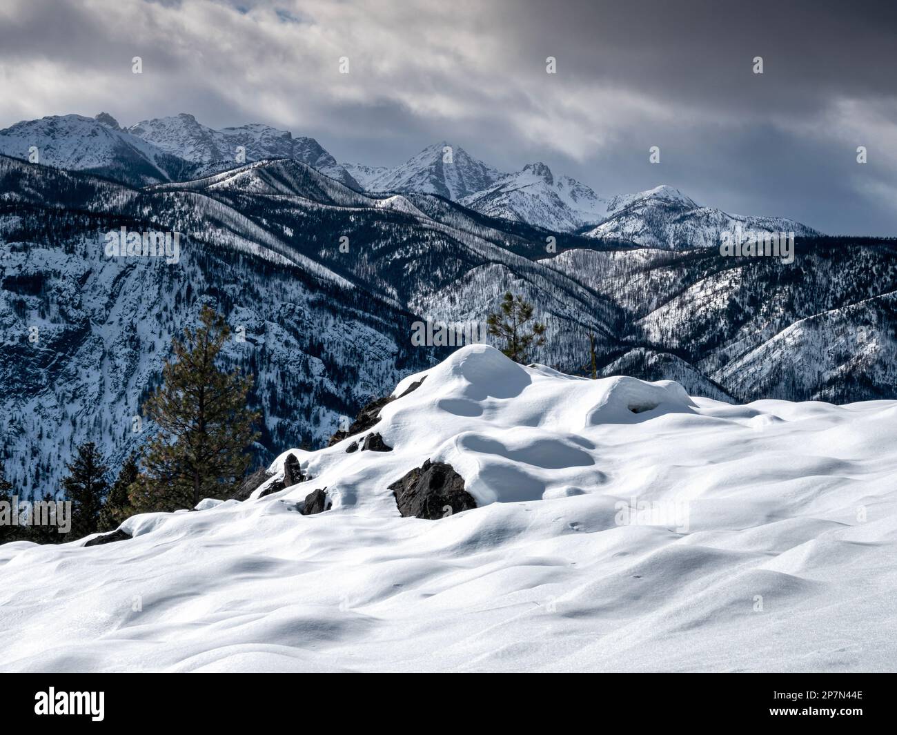 WA23239-00...WASHINGTON - View of the mountains of the North Cascades from the Cassal Hut Trail in the Rendezvous area of the Methow Valley Trails. Stock Photo