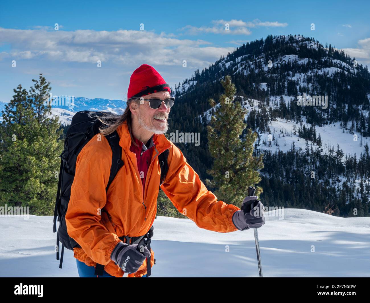 WA23242-00...WASHINGTON - Cross-country skier enjoying the afternoon sunshine and views from the Cassal Hut Trail in the Rendezvous area. Stock Photo