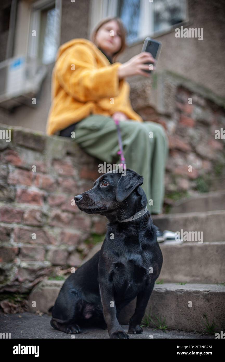 Influencer, teenage girl with a black dog taking a selfie with her ...