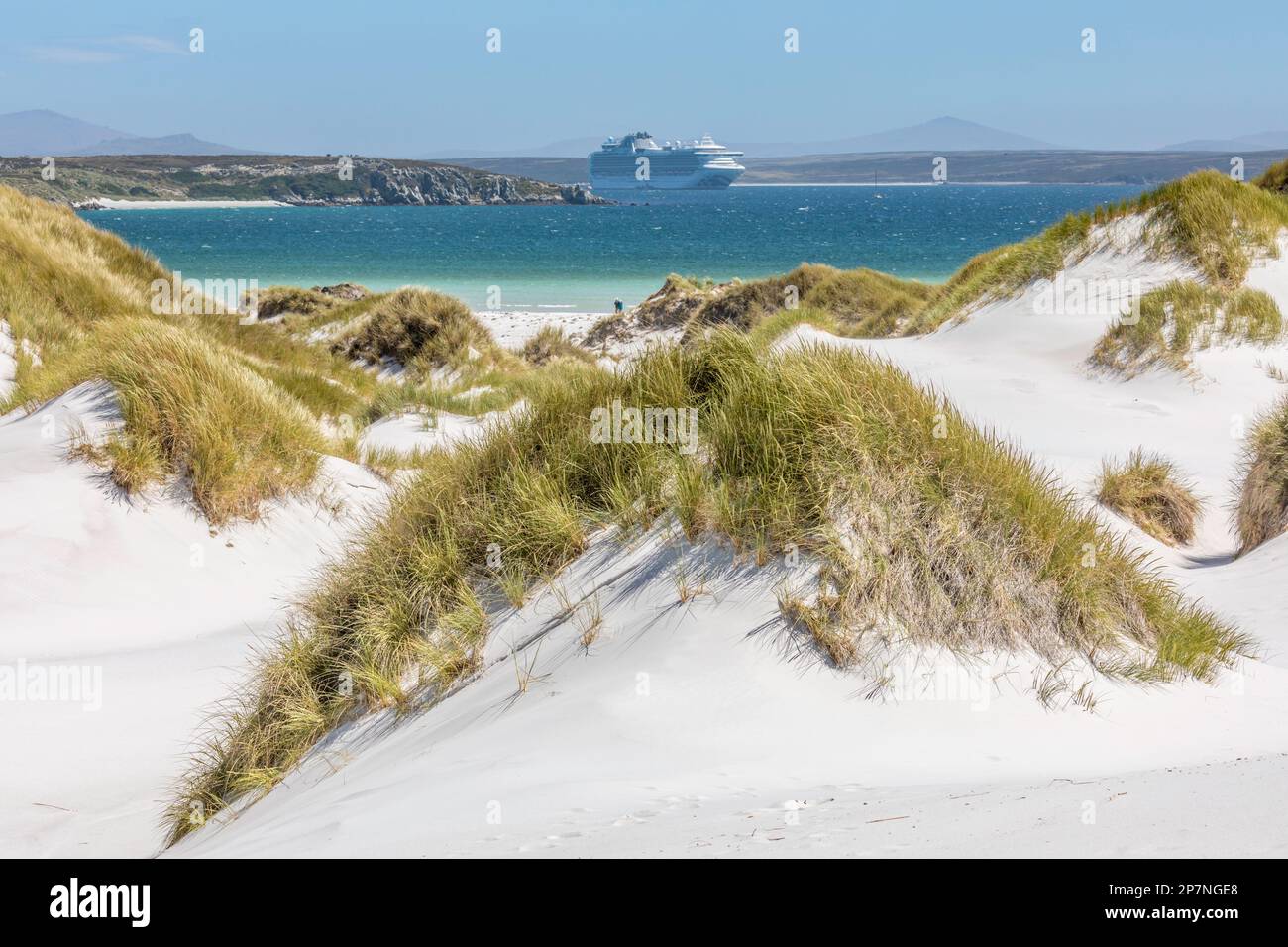 A cruise ship seen between sand dunes, anchored just outside Stanley harbour in The Falkland islands. Stock Photo