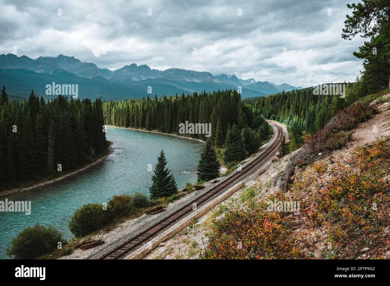 Morant's Curve: Bow River flows through forest and railway track. Storm Mountain in the background. Castle Cliff Viewpoint, Bow Valley Parkway, Banff Stock Photo