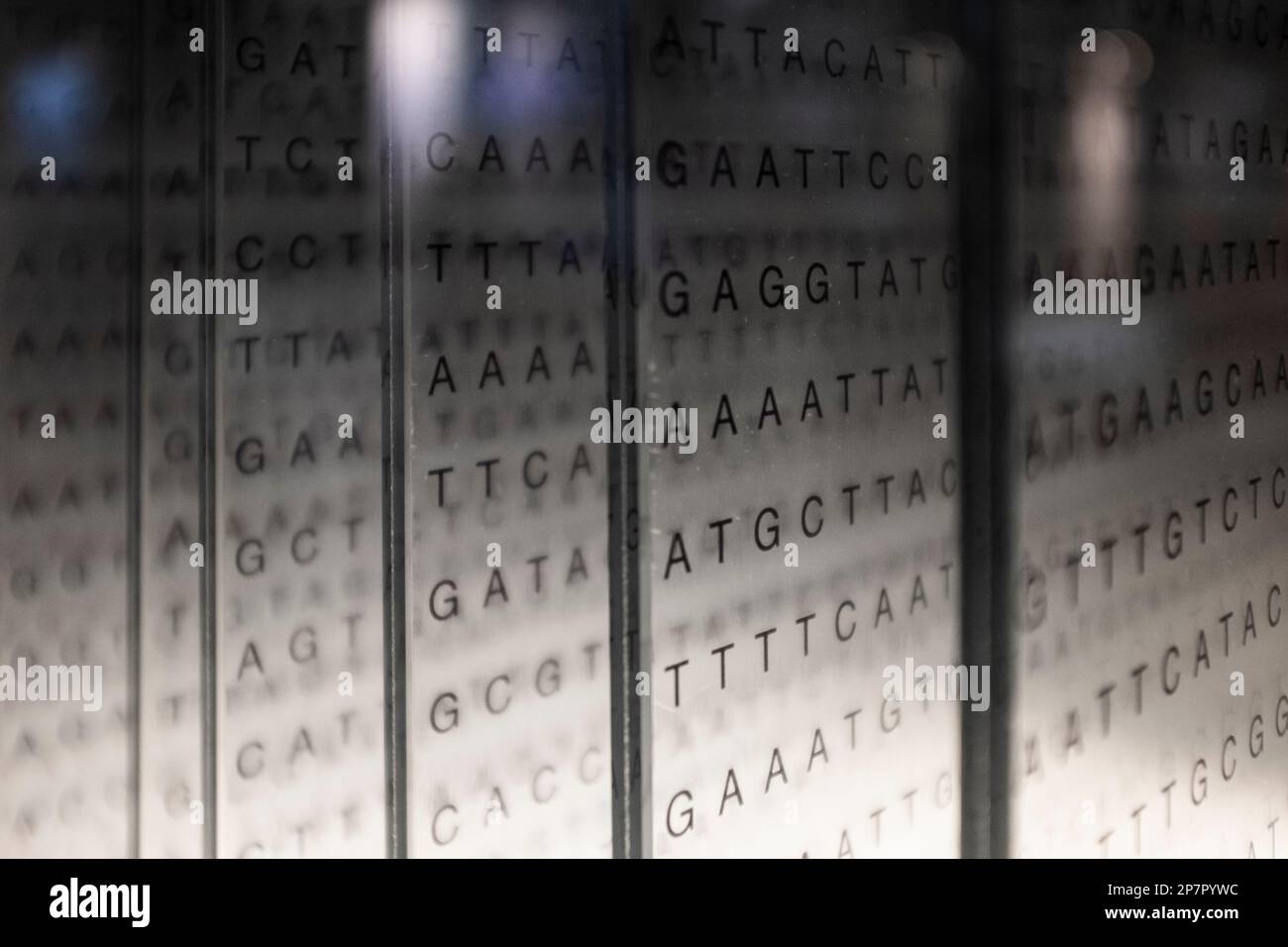 Capital letter code matrix written on different translucent glass ...