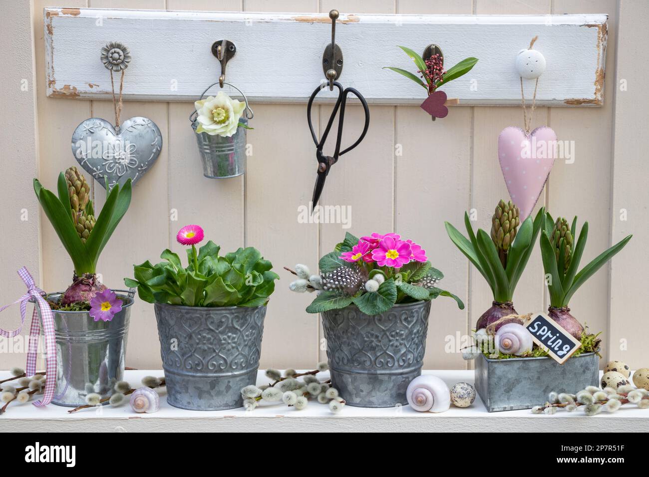 garden arrangement with pink primrose, bellis and hyacinth flowers in