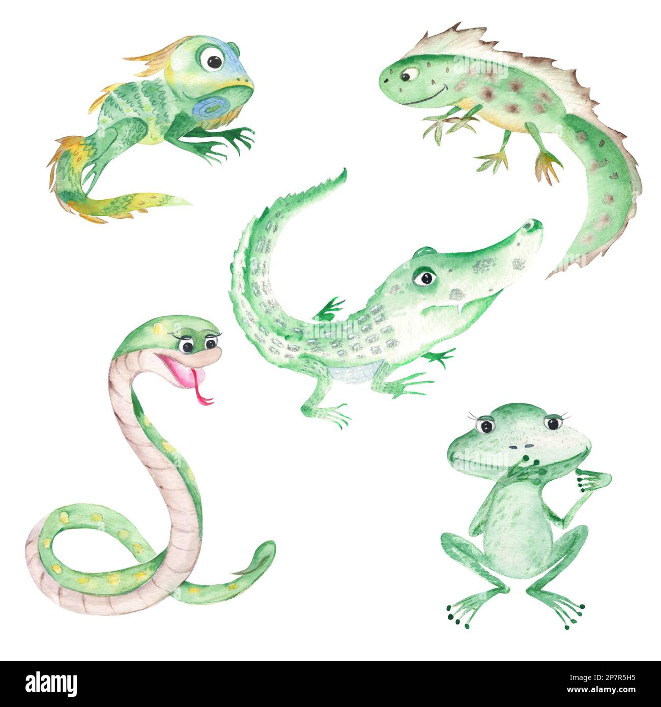 Reptile And Amphibians Set Cute Frog Snake Iguana Crocodile And