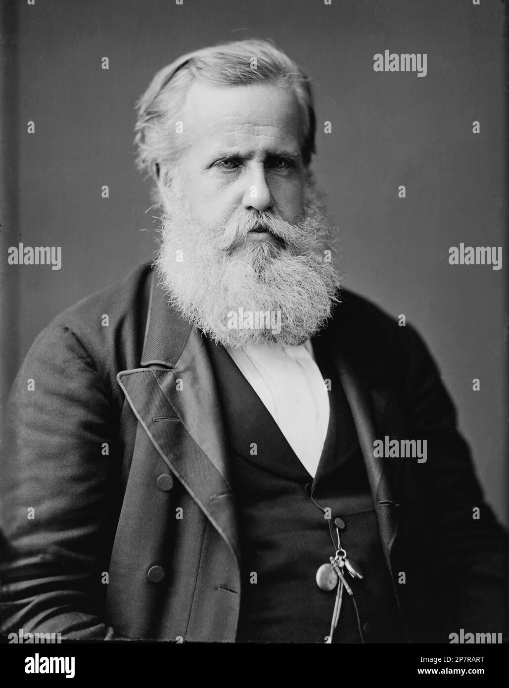 1876 ca. : The Emperor of Brazil Dom PEDRO II  ( 1824 - 1891 )  , was the second and last Brazilian Emperor . Dom Pedro II was married on September 4, 1842 to Princess Teresa of the Two Sicilies  BOURBON ( 1822 – 1889 ), the youngest daughter of King Francis I of the Two Sicilies ( 1777 – 1830 ) and Maria Isabella of Spain . They had four children - CASA de BRAGANCA e Habsburgo . Photo by  Mathew Brady , USA - PORTOGALLO  - Borbone - ASBURGO - ABSBURG - Habsburg - REALI - NOBILTA'   - NOBILITY - ROYALTY - HISTORY - FOTO STORICHE - BELLE EPOQUE  - BRASILE - Imperatore   - BELLE EPOQUE  - Bragan Stock Photo