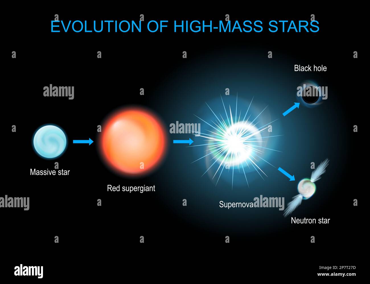 Stellar evolution. Life cycle of massive stars from red supergiant, and supernova, to black hole, and neutron star. Vector poster about astronomy. inf Stock Vector