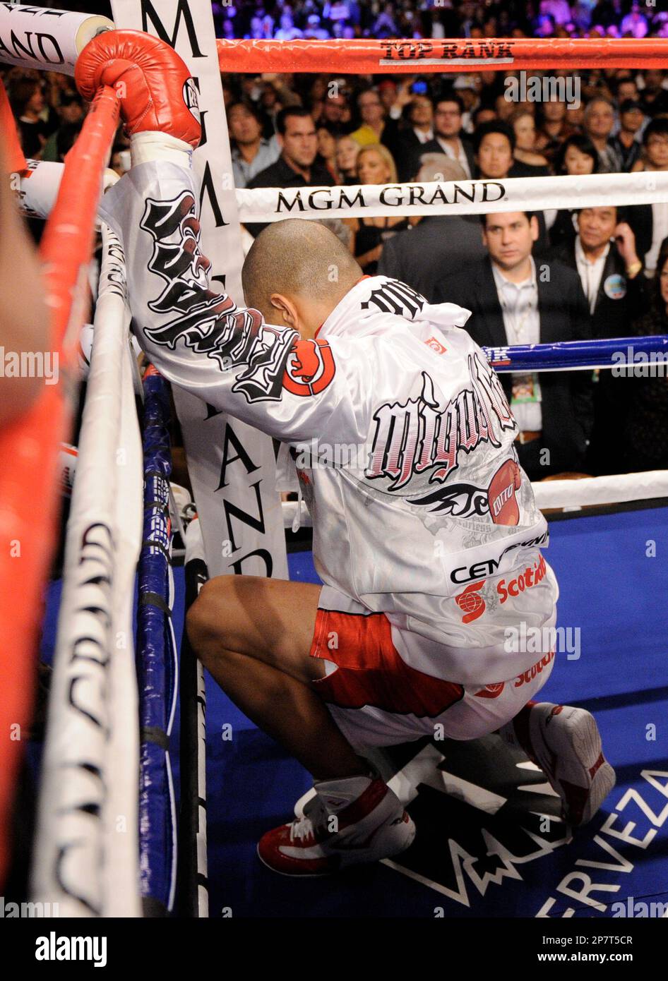 Miguel Cotto, Of Puerto Rico, Kneels In His Corner Before His Fight ...