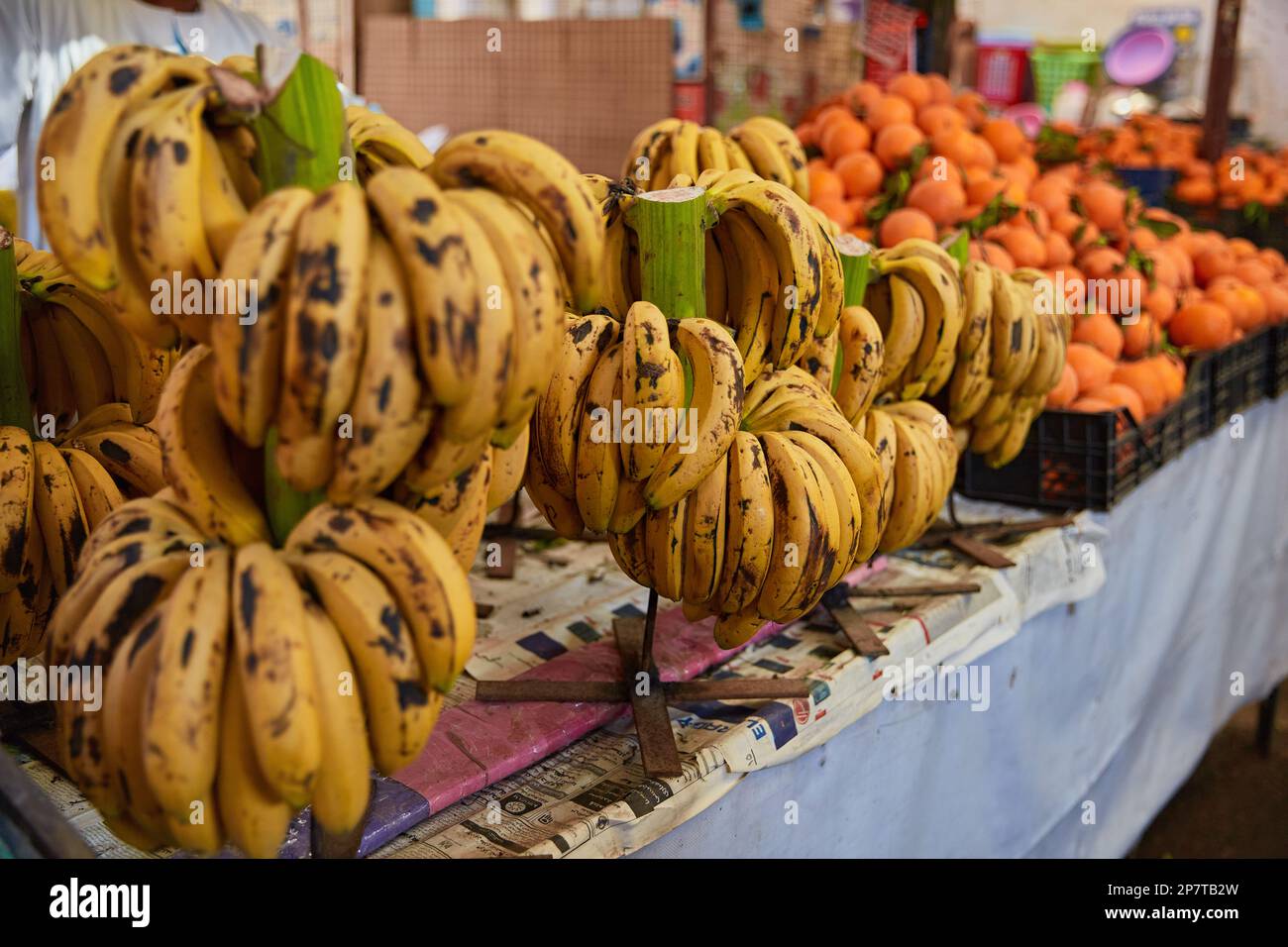 Bananas on the counter of the authentic Egyptian market. Fresh fruits