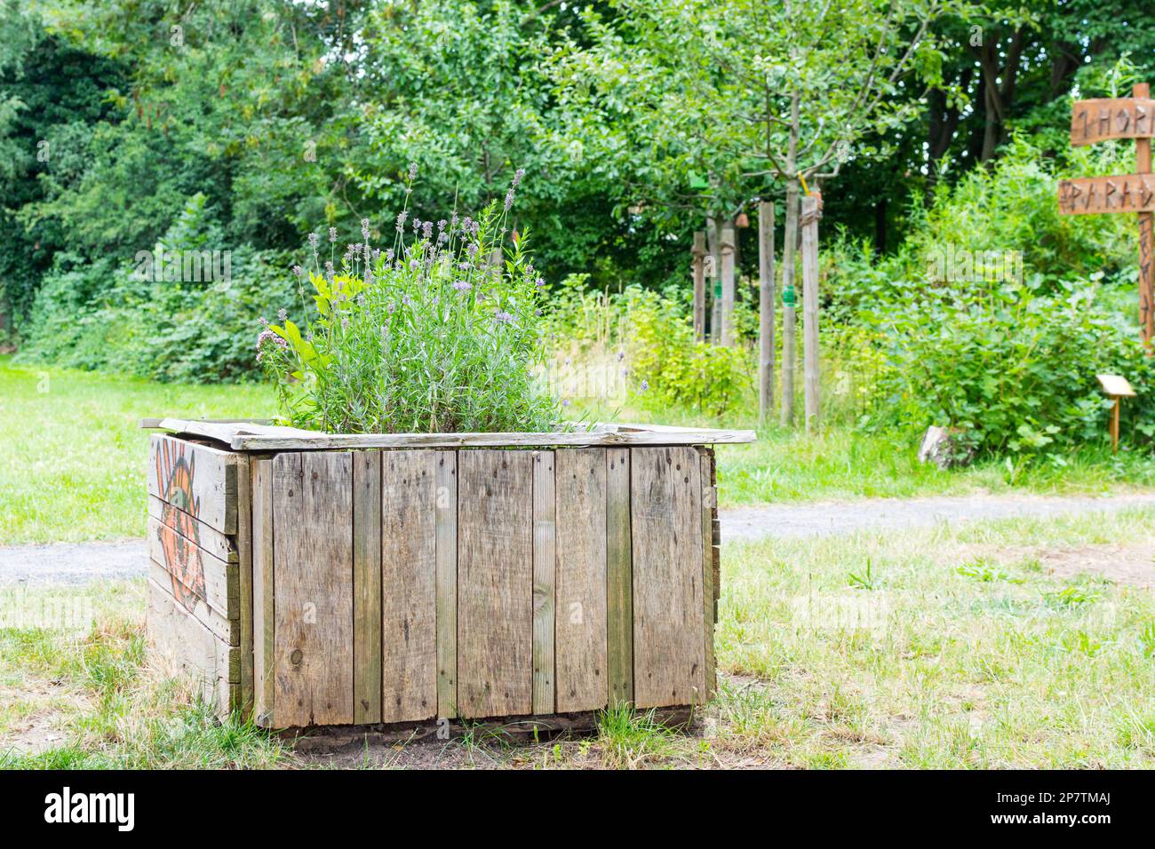 Self-made raised bed from old wood and boards in an urban green space, gruenes Band, in Hamburg. The bed is planted with herbs and green useful plants Stock Photo