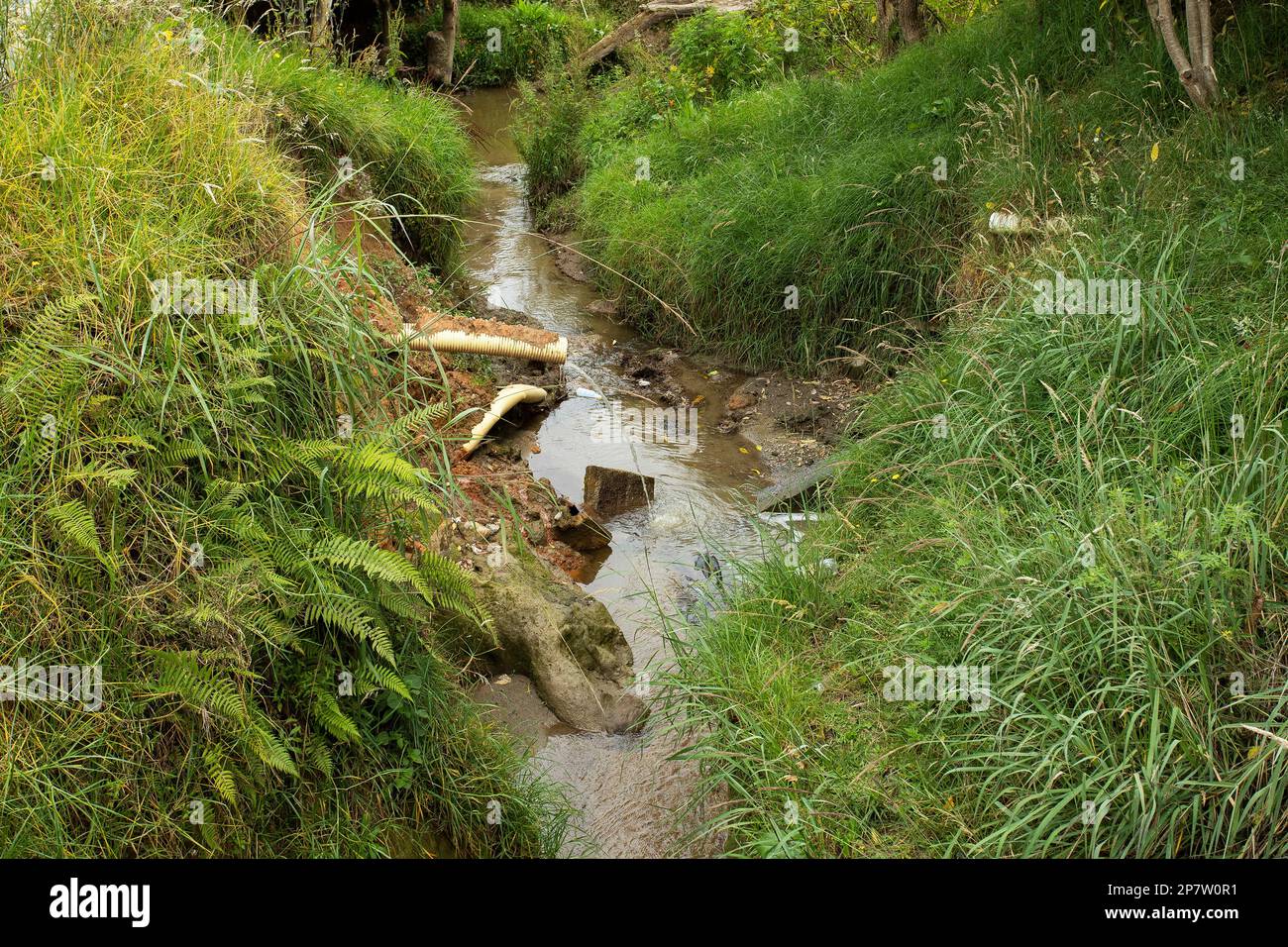 Municipal domestic wastewater exiting the creek Stock Photo