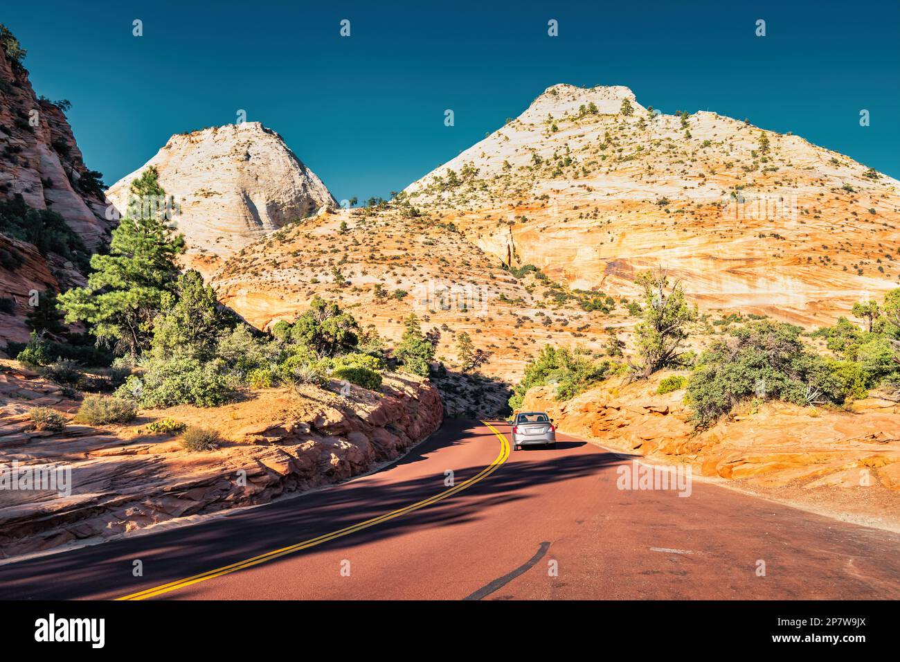 Car drives in Zion National Park in Utah, USA. Stock Photo