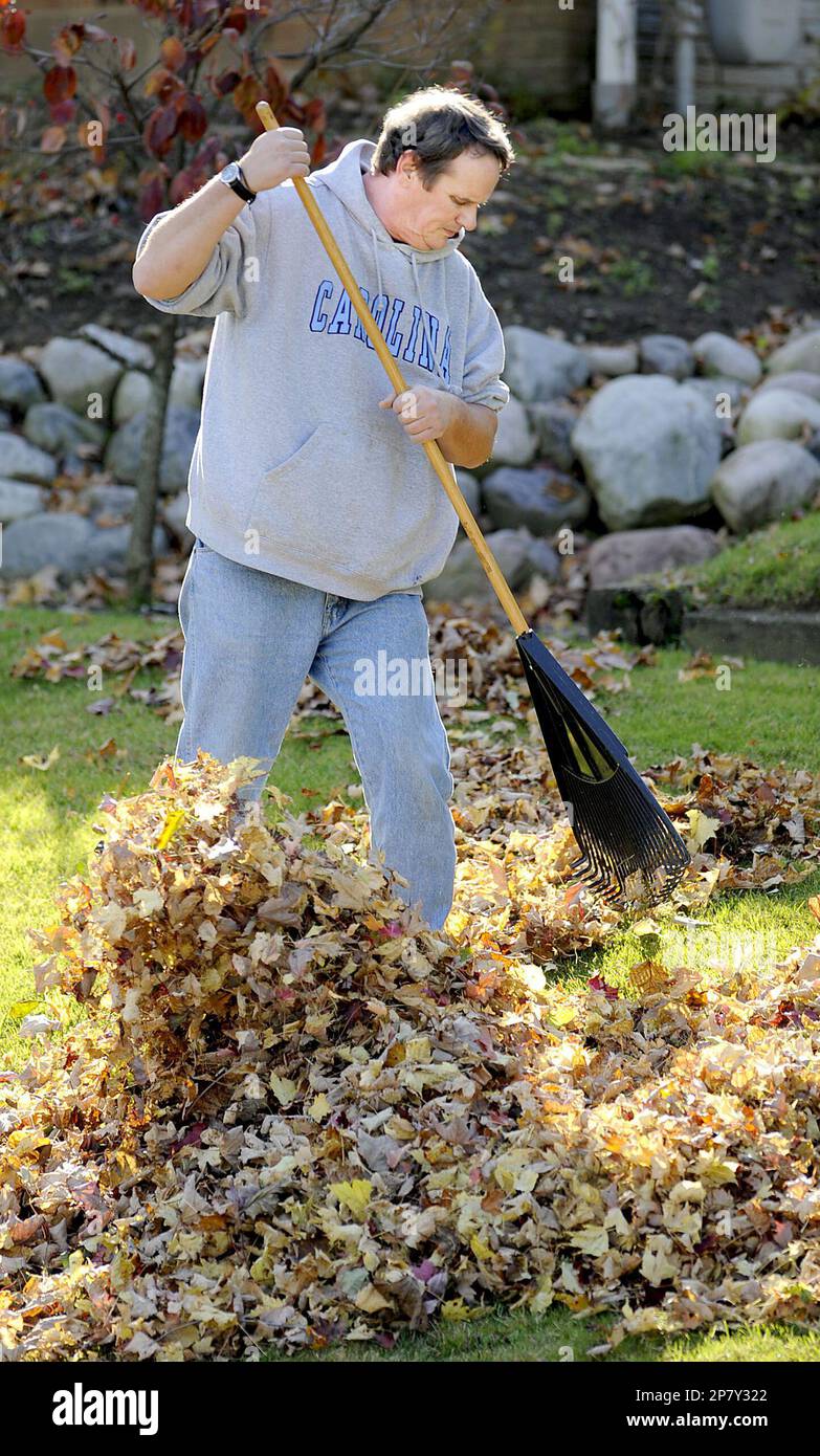 https://c8.alamy.com/comp/2P7Y322/when-technology-failed-steve-cook-he-resorted-to-elbow-grease-cook-of-erie-pennsylvania-decided-to-rake-his-lawn-by-hand-on-october-20th-2009-after-he-couldnt-get-his-leaf-blower-to-work-correctly-its-nice-weather-said-cook-as-he-raked-leaves-in-front-of-his-merline-ave-home-in-erie-on-a-clear-day-with-temperatures-in-the-mid-50s-and-it-does-me-good-right-now-he-said-it-relieves-stress-temperatures-in-erie-on-wednesday-are-forecast-to-reach-the-mid-60s-ap-photo-by-christopher-milletteerie-times-news-no-resale-mags-out-no-tv-no-internet-2P7Y322.jpg