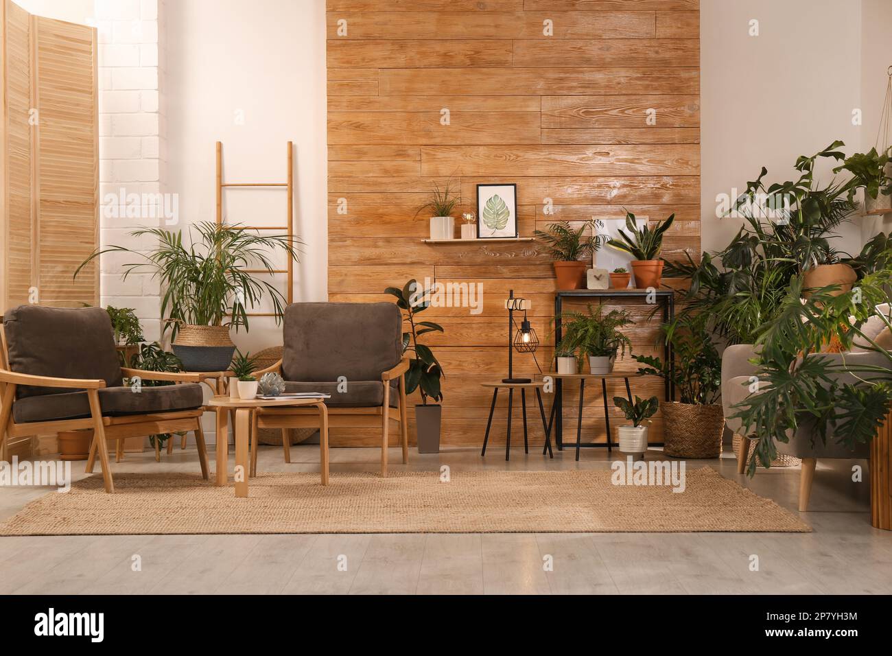 Stylish room with beautiful plants and wooden wall. Interior design ...