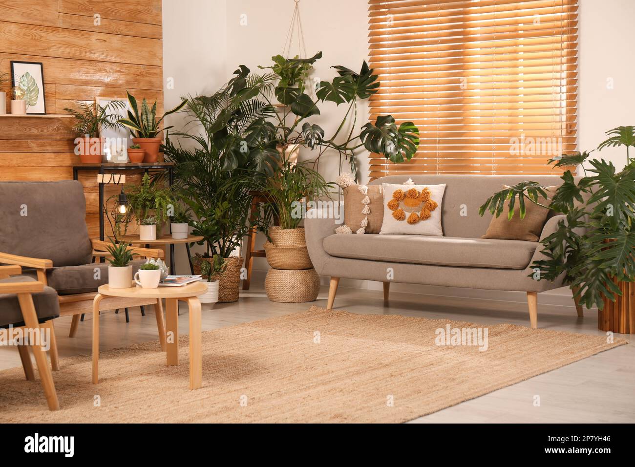 Stylish room with beautiful plants and wooden wall. Interior design ...