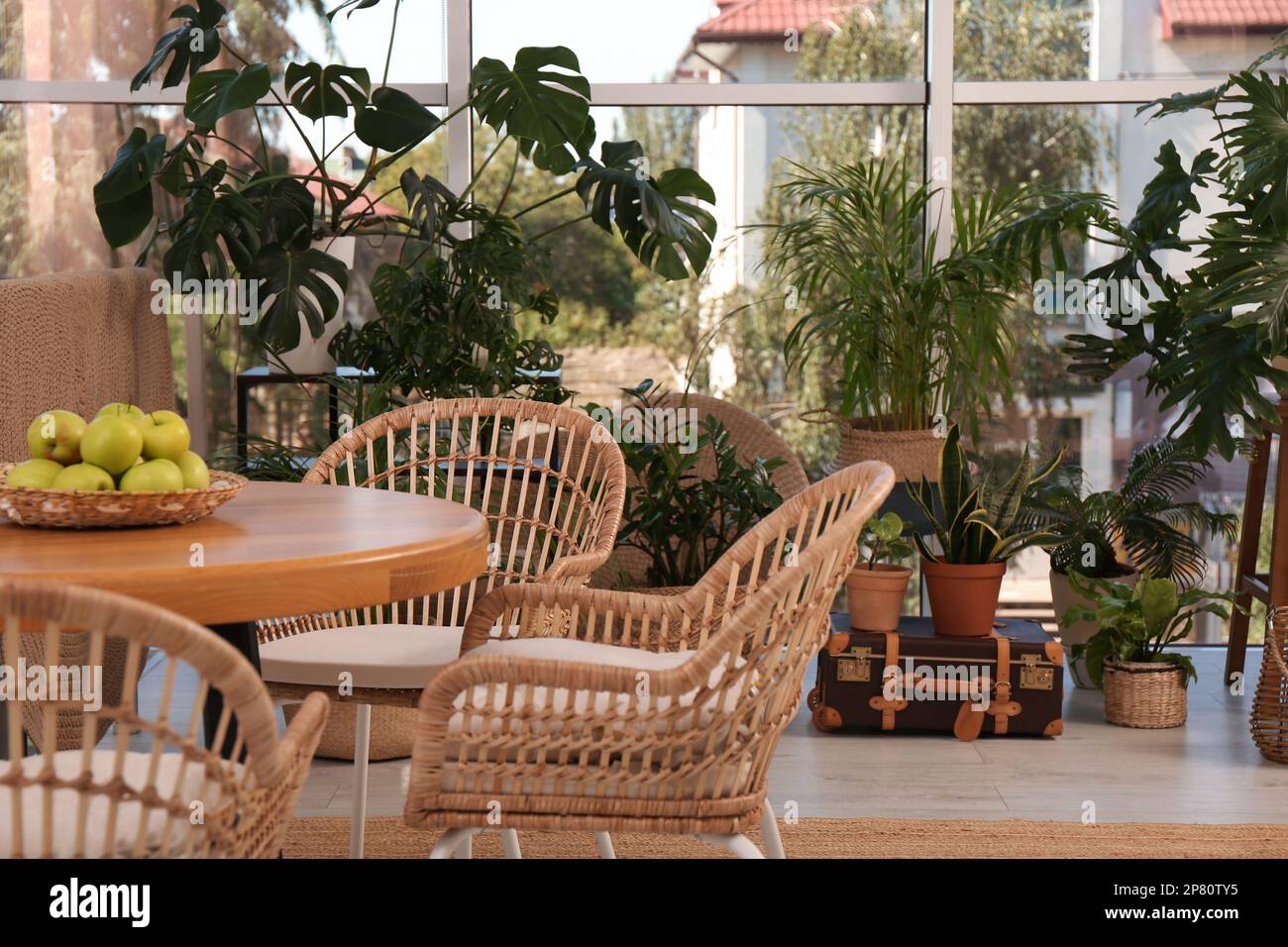 Stylish living room with beautiful plants. Interior design Stock Photo ...