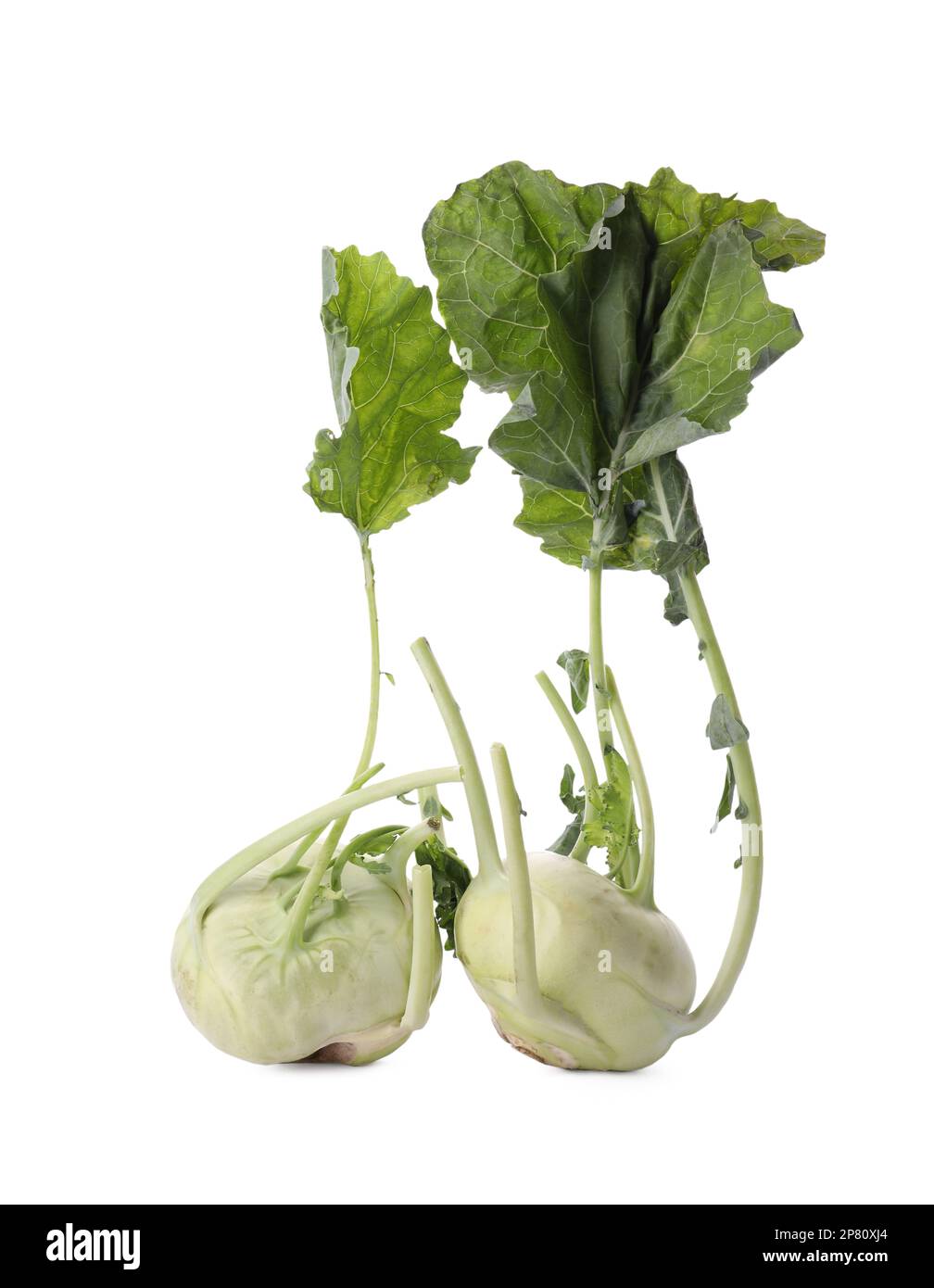 Whole ripe kohlrabies with leaves on white background Stock Photo