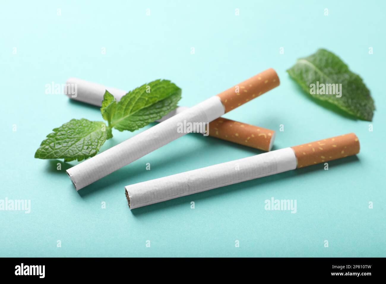 mint flavored cigarettes Best Menthol Guide for Adult Smokers – Top Smoke Start stopping with Nicorette White Ice Mint Nicotine Gum Royal Swag Ayurvedic Herbal Mint