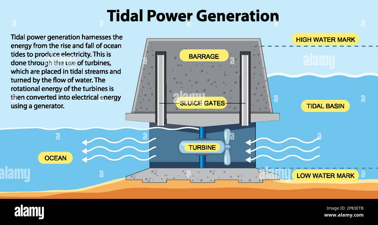 Simple Tidal Energy Diagram