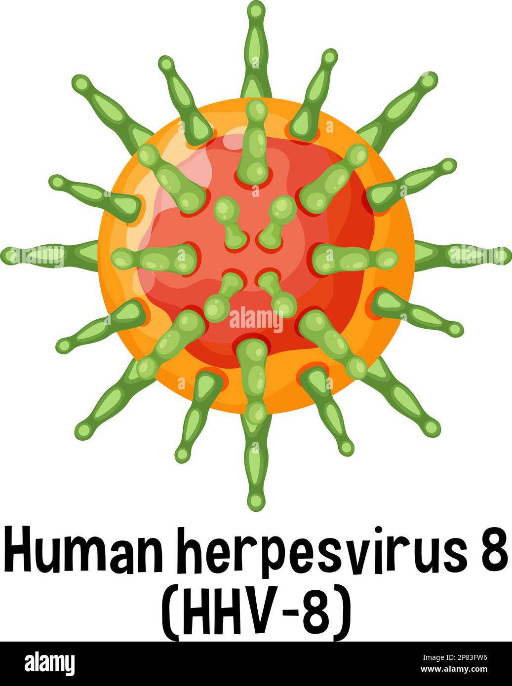 Human herpesvirus 8 (HHV 8) with text illustration Stock Vector
