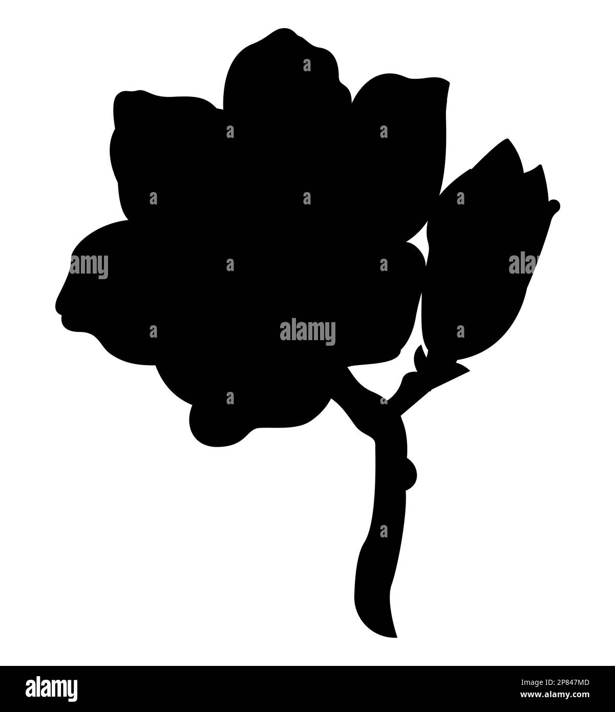 Black Silhouette of Japanese anemone flower, Trendy Modern Stock Vector