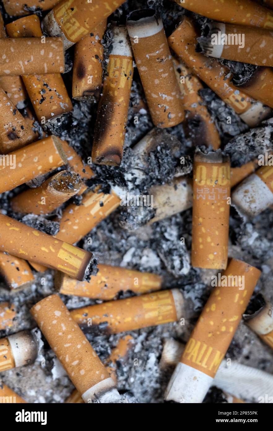 ILLUSTRATION - 06 March 2023, Bavaria, Munich: Numerous cigarette butts lie  in an ashtray. (recrop) On March 9, the ECJ ruling on warnings for the sale of  cigarettes in vending machines is