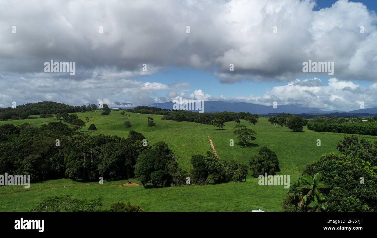 Aerial view of lush green fields with a mountain backdrop Stock Photo ...
