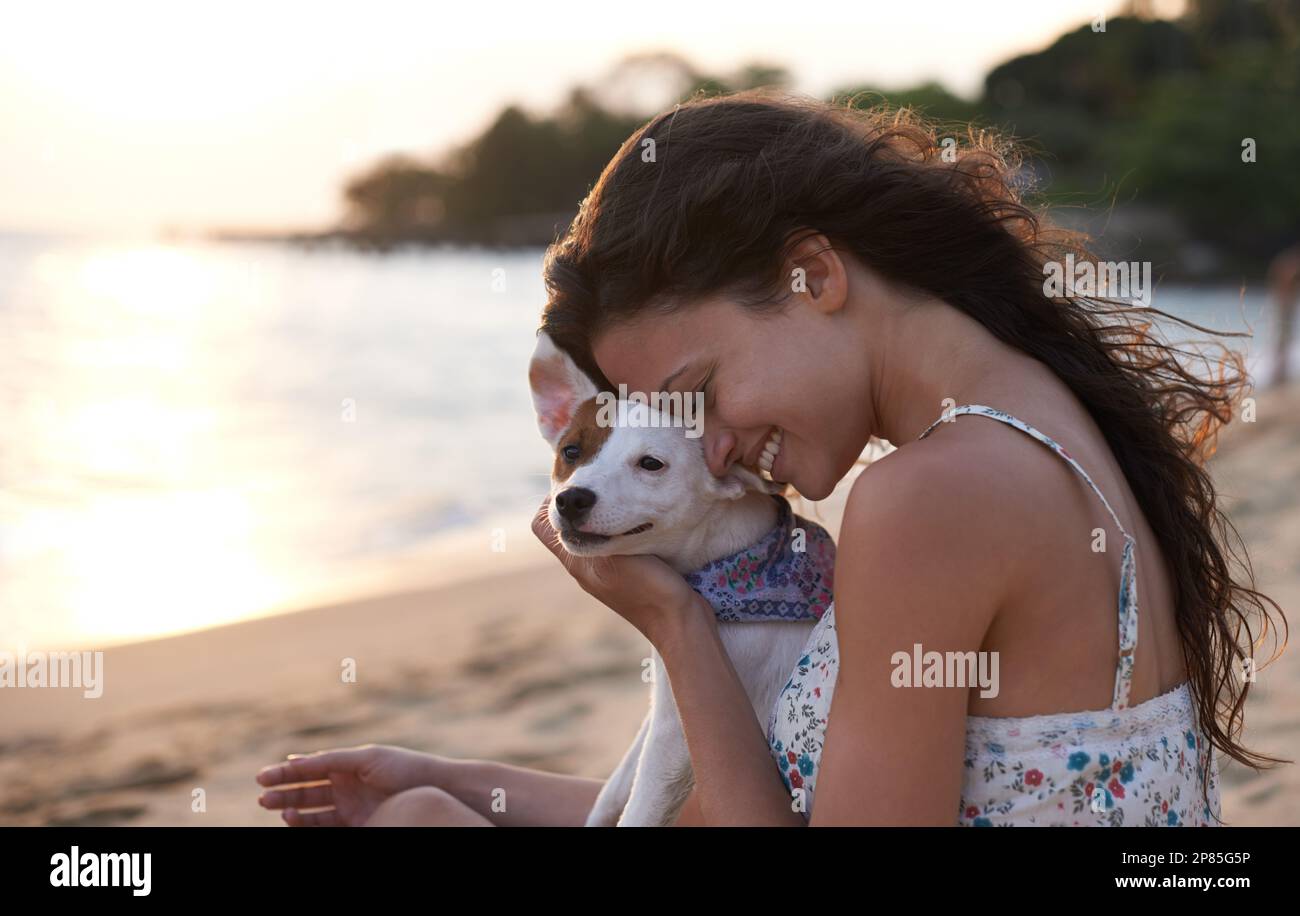 Whos a good boy. an attractive young woman petting her dog at the beach. Stock Photo