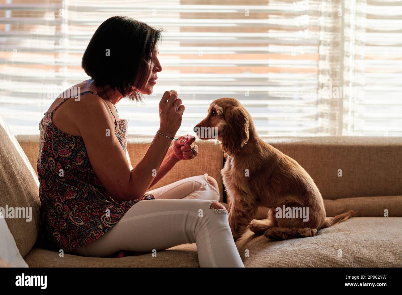 Woman giving a treat to a dog on the sofa Stock Photo - Alamy