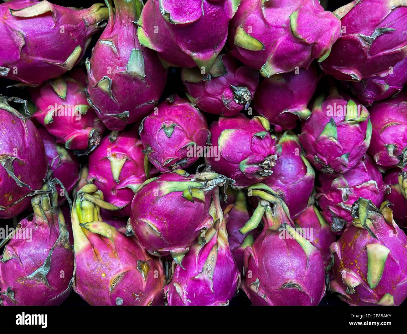 Dragon Fruit, Pitahaya, Pitaya Exotic deep pink Asian Vegan Juicy