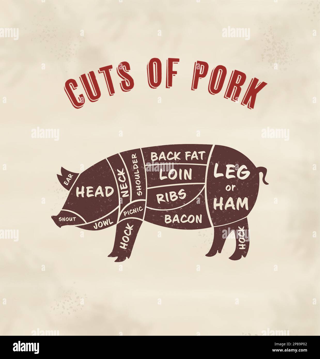 Butcher's guide: Cuts of pork scheme. Illustration of pig on beige background Stock Photo