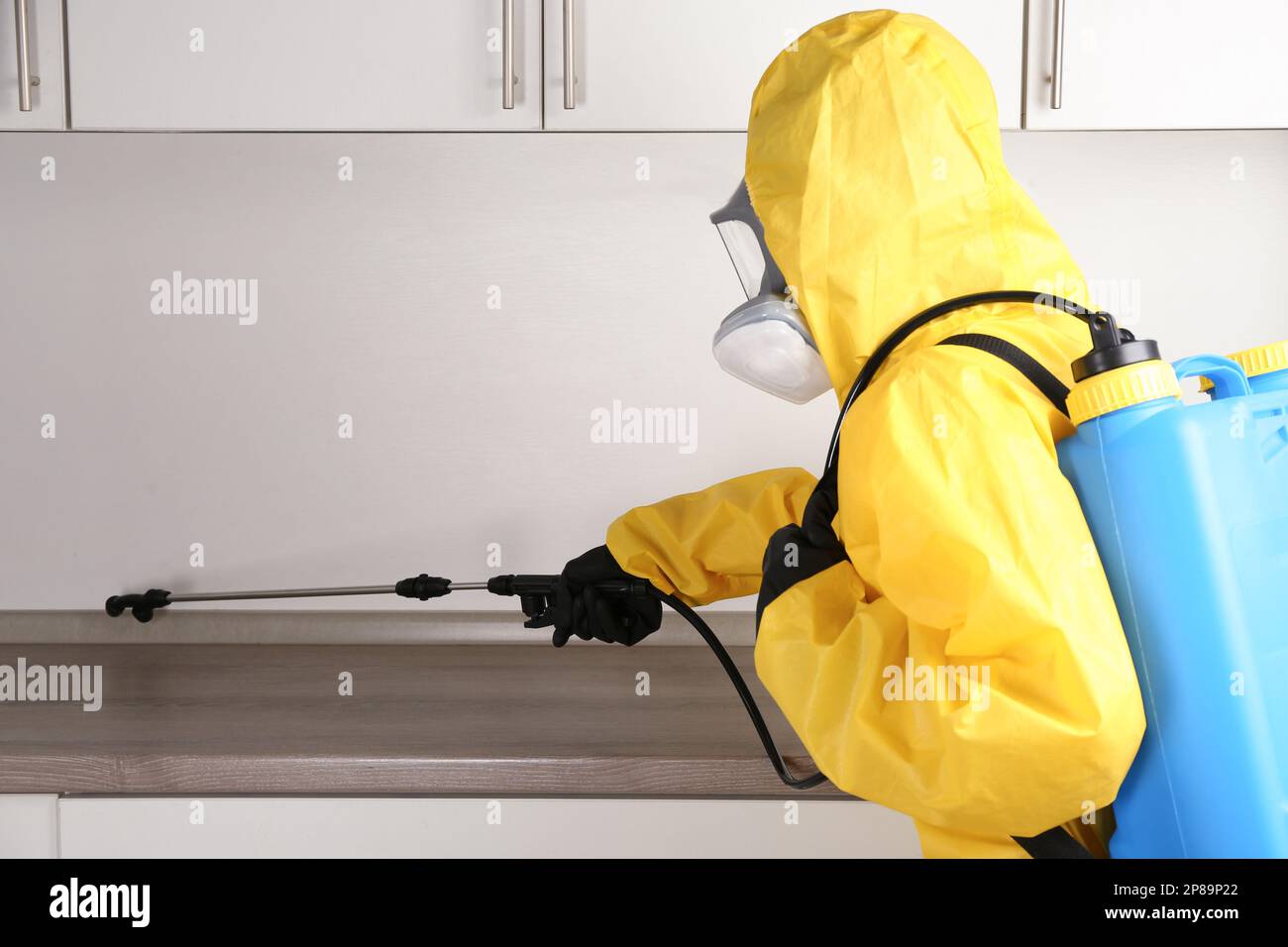 Pest control worker spraying pesticide in kitchen Stock Photo