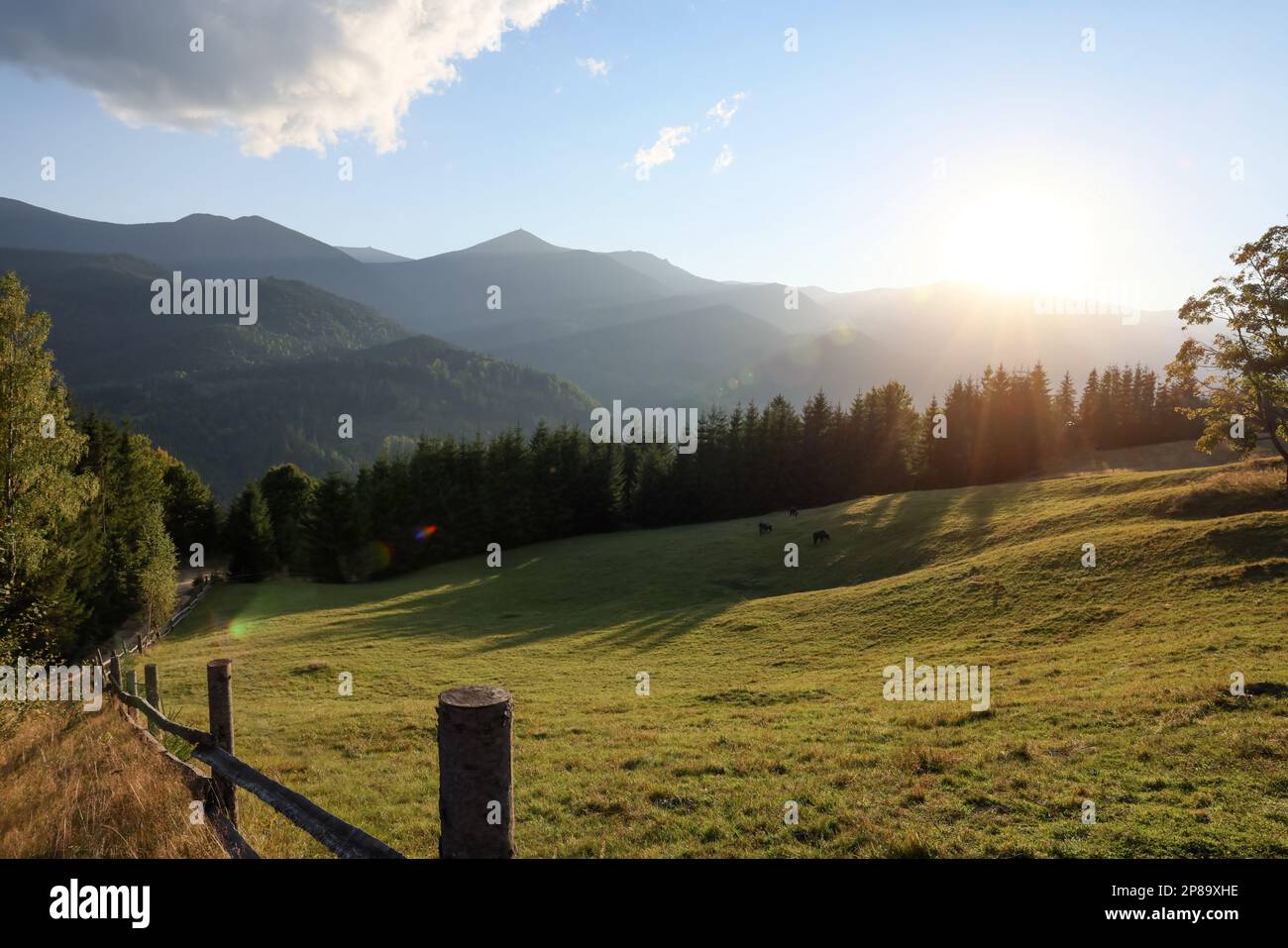 Morning sun shining over pasture in mountains Stock Photo