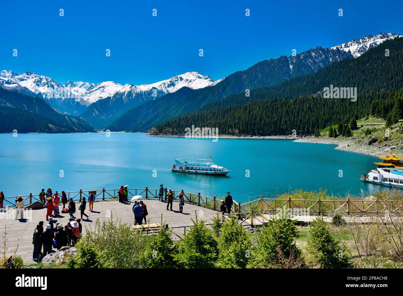 The beautiful scenery of Tianchi Lake in Tianshan Mountains, Xinjiang, with snow-capped mountains in the distance, and the vast and green Tianhu Lake Stock Photo