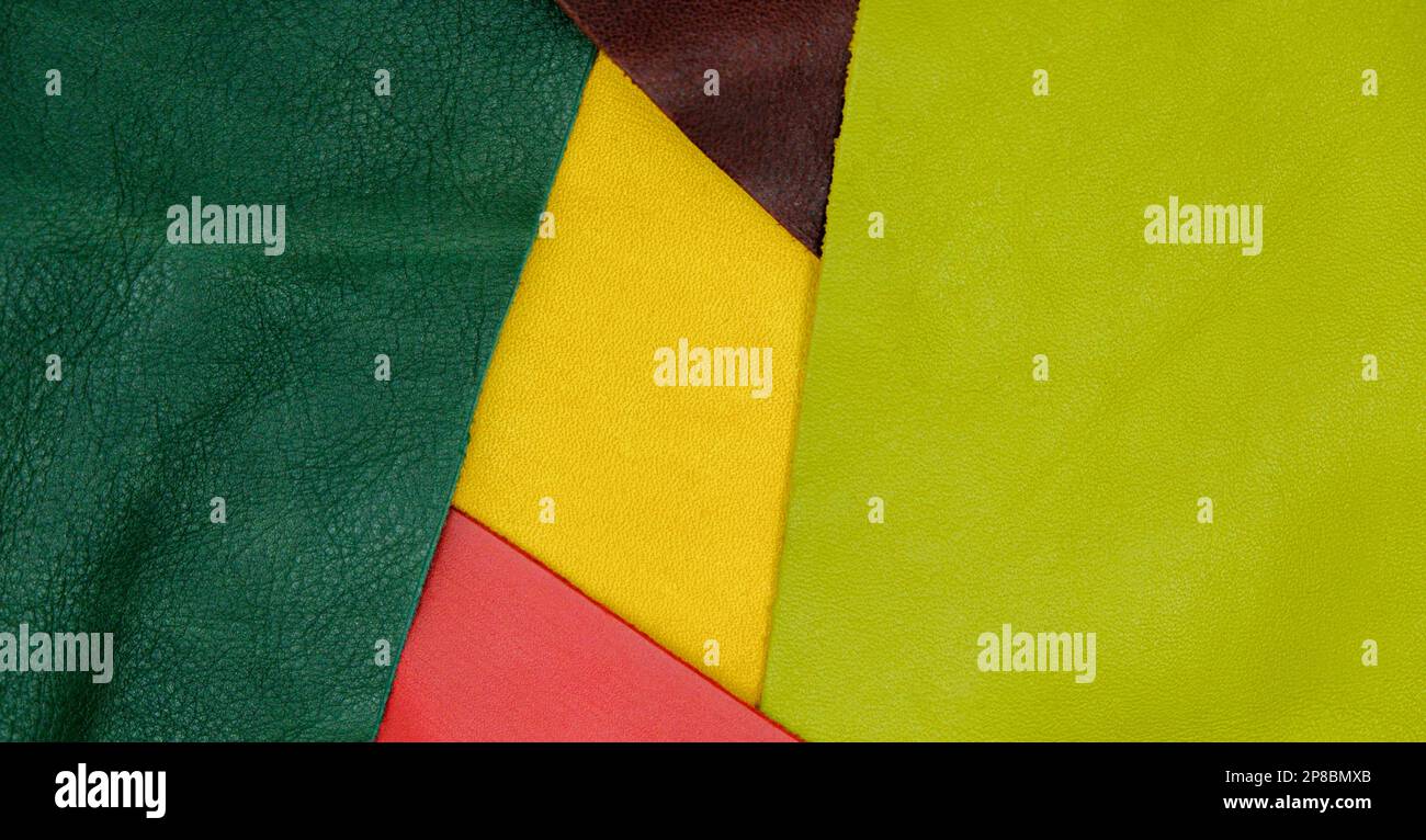 Assorted pieces of skin. Rawhide. Leather pieces. Pieces of colored