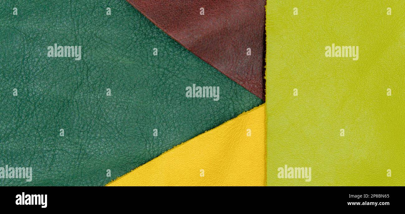 Assorted pieces of skin. Rawhide. Leather pieces. Pieces of colored