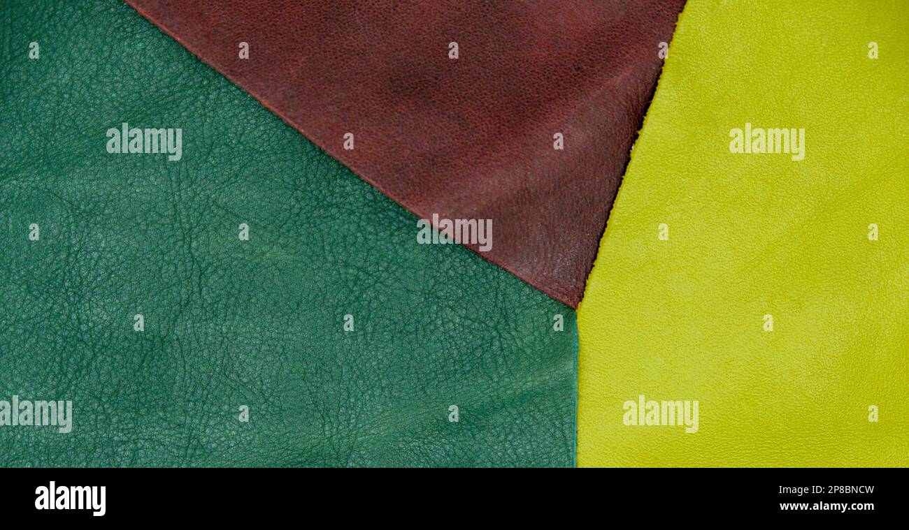 Assorted pieces of skin. Rawhide. Leather pieces. Pieces of colored