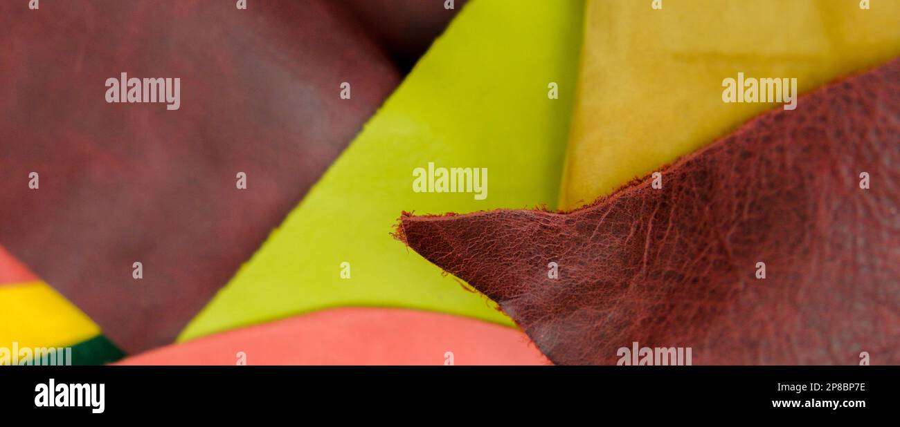 Assorted pieces of skin. Rawhide. Leather pieces. Pieces of colored