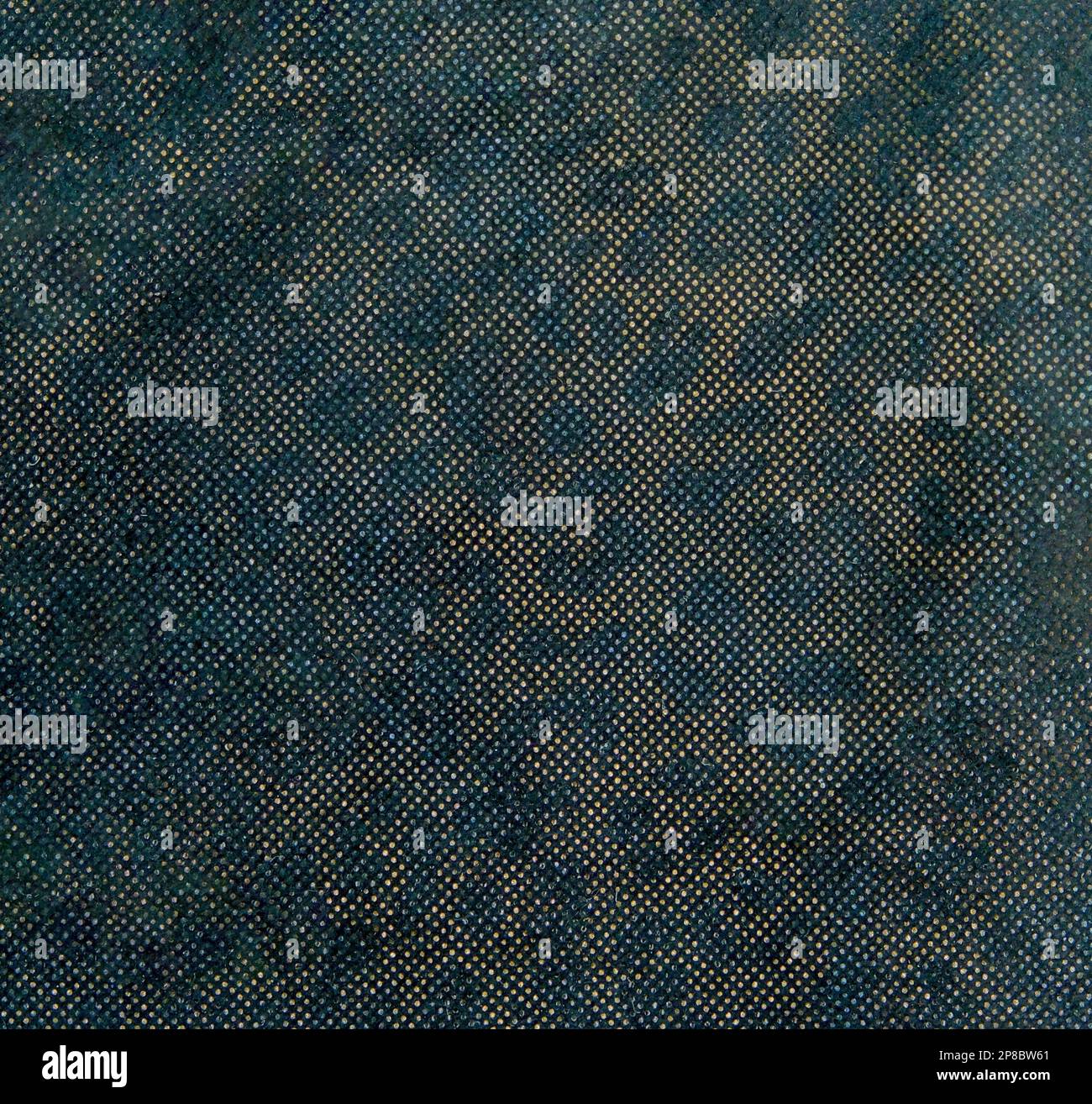 Panther pattern printed leather cut as background textured and wallpaper. Rustic style Stock Photo