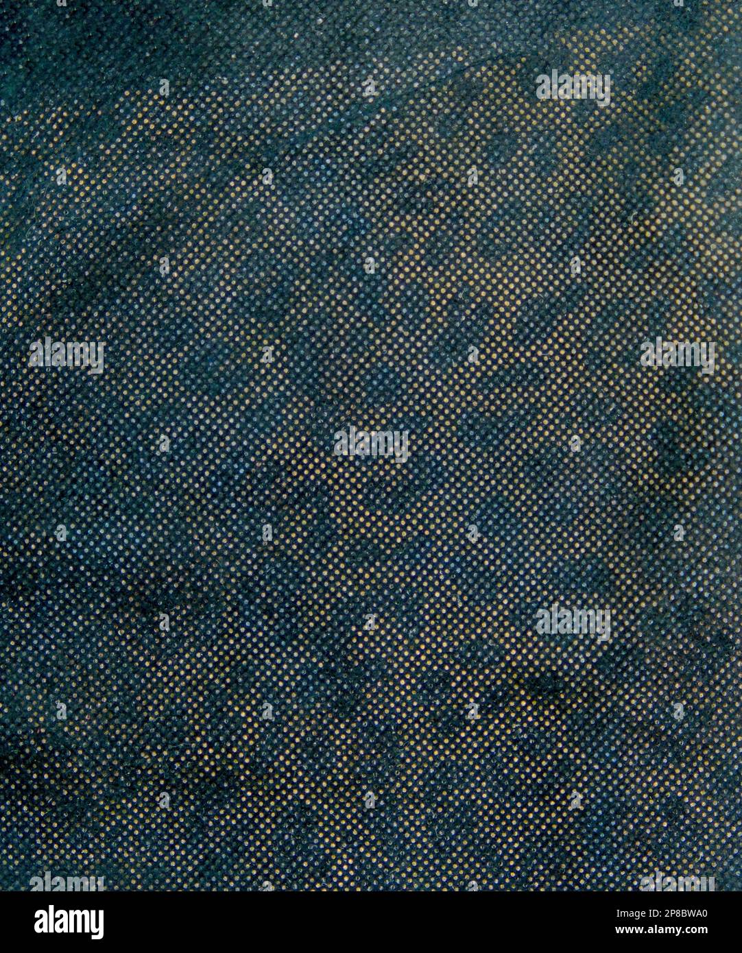 Panther pattern printed leather cut as background textured and wallpaper. Rustic style Stock Photo