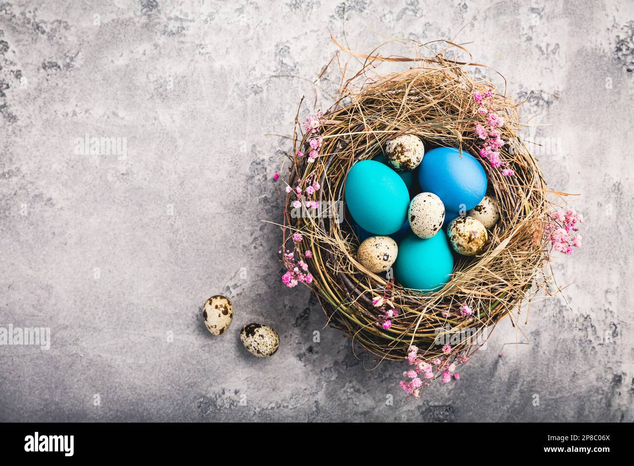 Happy Easter - nest with Easter eggs on grey background with copy space Stock Photo