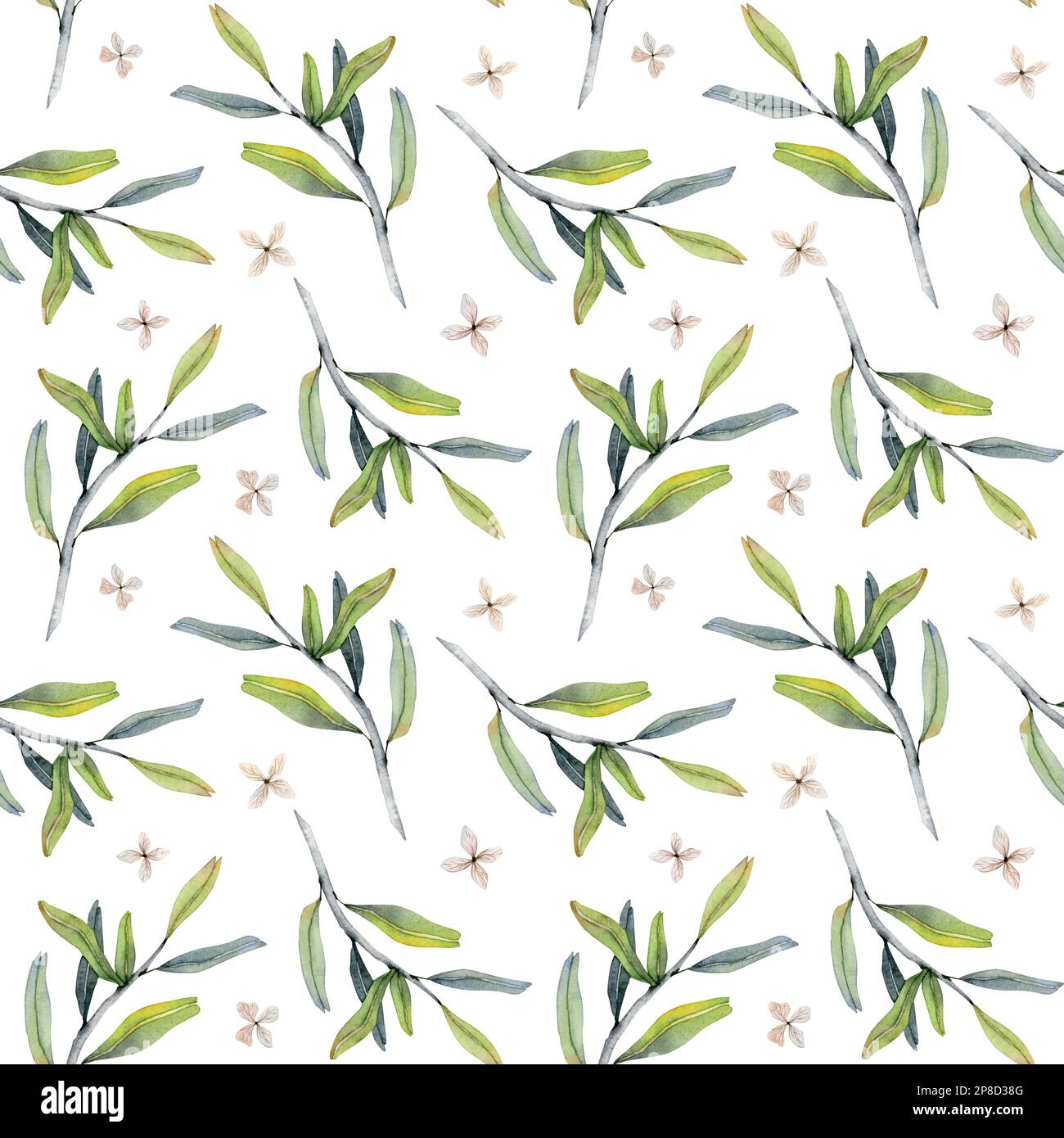 Seamless watercolor olive branches and flowers pattern in green gray and beige color on white background. Pomegranate leaves Stock Photo